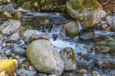 Washington 'daki Snoqualmie Geçidi yakınlarındaki küçük kayalık bir dere manzarası..