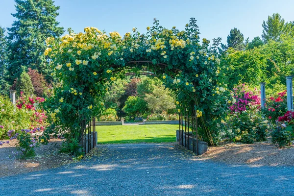 Μια Ποικιλία Λουλουδιών Ανθίζουν Έναν Κήπο Στο Seatac Ουάσιγκτον Εικόνα Αρχείου