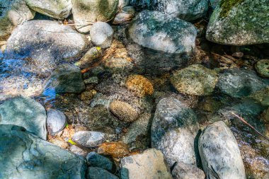 Washington 'daki Snoqualmie Geçidi yakınlarındaki küçük kayalık bir dere manzarası..