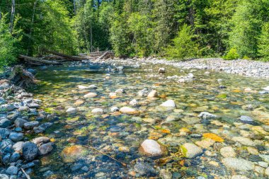Washington 'daki Denny Creek' te berrak su manzarası.