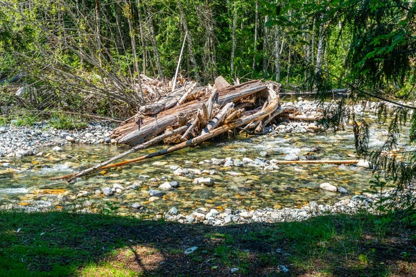 Blick Auf Einen Haufen Holz Und Klares Wasser Denny Creek — Stockfoto