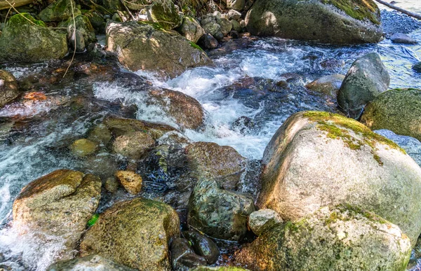 华盛顿州Snoqualmie山口附近的一条小岩石山溪的详细景观 — 图库照片