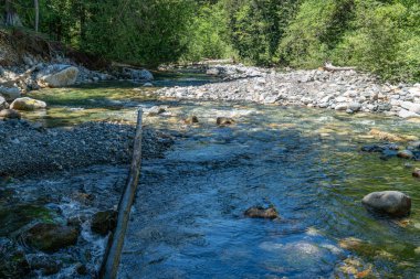 Washington 'daki Denny Creek' teki kayaların üzerinden temiz dağ suyu akıyor..