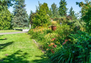 Seatace, Washington 'da bol miktarda çiçekli bir bahçe.