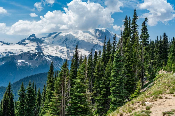 Ein Blick Auf Immergrüne Bäume Und Mount Rainier Bundesstaat Washington — Stockfoto