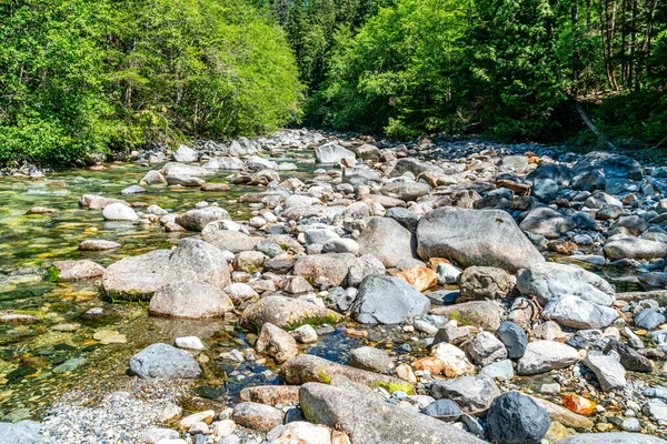 Una Vista Del Agua Clara Denny Creek Estado Washington —  Fotos de Stock