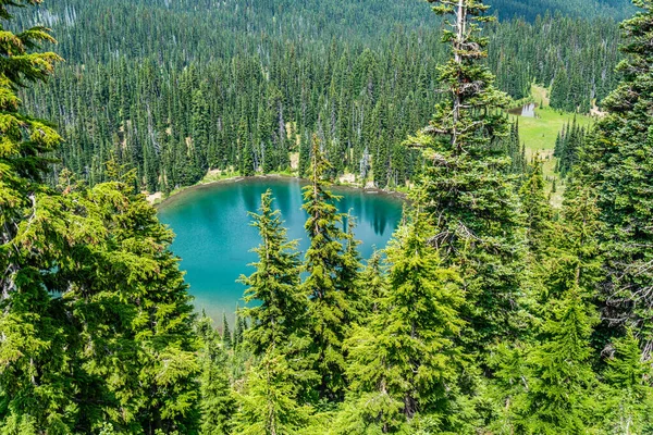 Veduta Panoramica Lago Montagna Vicino Monte Rainier Nello Stato Washington — Foto Stock