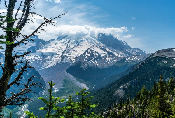 Festői Kilátás Mount Rainier Emmons Gleccser Fehér Folyó Alatt — Stock Fotó