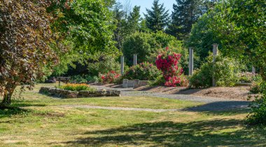 Seatac, Washington 'da bir bahçede çeşitli çiçekler..