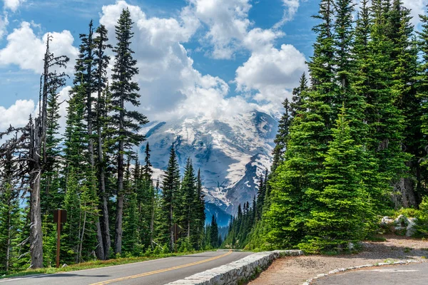 Uma Estrada Magnífico Monte Rainier Estado Washington — Fotografia de Stock