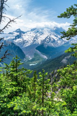 Emmons buzulu ve aşağıdaki Beyaz Nehir ile Rainier Dağı 'nın manzarası..