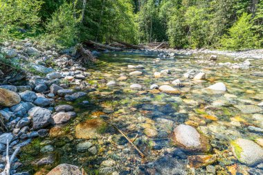 Washington 'daki Denny Creek' te berrak su manzarası.
