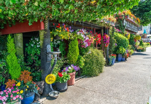 Stock image A house with many flowers on display in West Seattle, Washington.