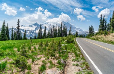 Washington 'daki Rainier Dağı' na giden yol ve görüş açısı.