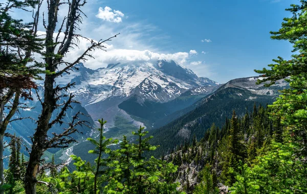 Festői Kilátás Mount Rainier Emmons Gleccser Fehér Folyó Alatt — Stock Fotó