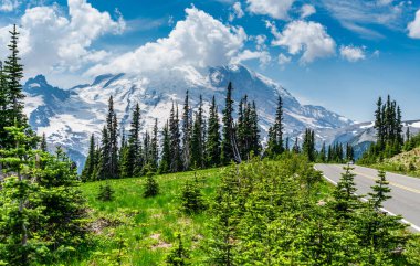 Washington 'daki Rainier Dağı' na giden yol ve görüş açısı.