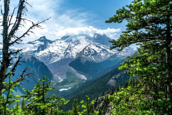 Kilátás Fehér Folyóra Mount Rainier Alatt Washingotn Államban — Stock Fotó