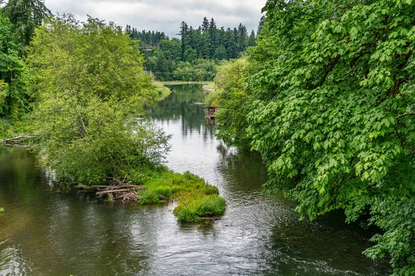 Utsikt Över Floden Deschutes Nedanför Tumwater Falls Delstaten Washington — Stockfoto