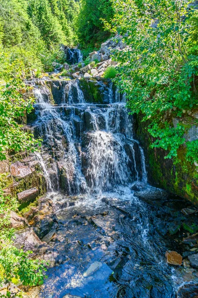 View Small Waterfall Mount Rainier Summertime Located Washington State — Stock Photo, Image