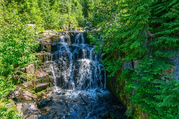 Ein Blick Auf Einen Kleinen Wasserfall Mount Rainier Sommer Sitz — Stockfoto