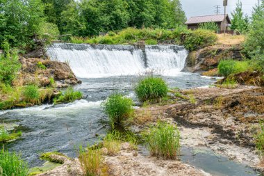 Washington 'daki Tumwater Şelalesinde pürüzsüz bir şelale.