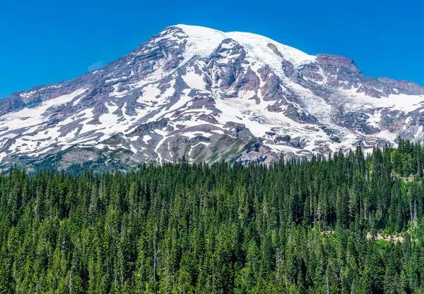 Yaz mevsiminde Washington 'da Rainier Dağı' nın manzarası..