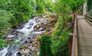 Washington 'daki Tumwater Şelalesi Parkı' nda nehri izleyen bir patika var..