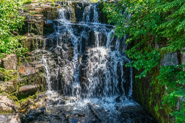 Uma Vista Uma Pequena Cachoeira Monte Rainier Verão Localizado Estado — Fotografia de Stock
