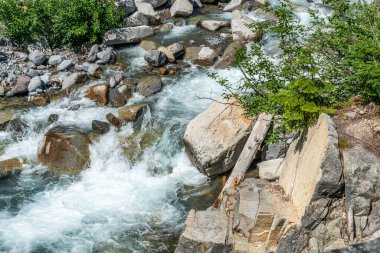Washington 'daki Rainier Dağı Ulusal Parkı' nda bir buzul nehri manzarası.