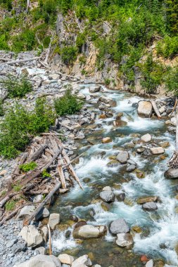 Washington 'daki Rainier Dağı Ulusal Parkı' nda bir buzul nehri manzarası.