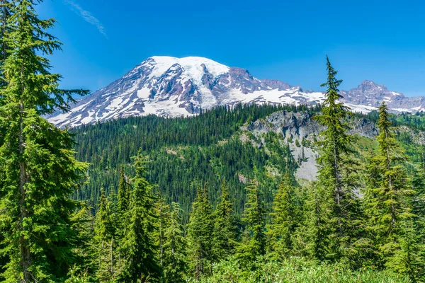 Veiw Gunung Rainier Negara Bagian Washington Musim Panas Stok Gambar