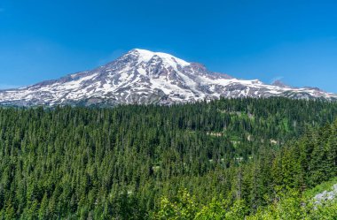 Yaz mevsiminde Washington 'da Rainier Dağı' nın manzarası..