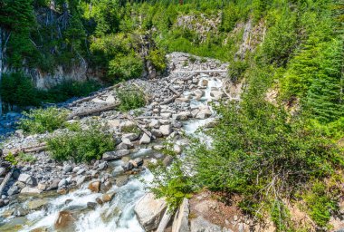 Washington 'daki Rainier Dağı Ulusal Parkı' nda bir buzul nehri manzarası.