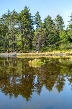 Washington 'daki Moclips Nehri' nin manzara fotoğrafı..