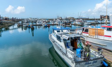 Westport, Washigton 'daki marinada çeşitli tekneler demirlemiş..