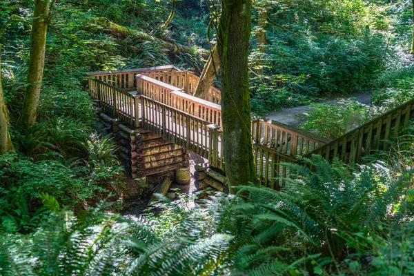 View Wooden Walking Bridge Trail Dash Point State Park Washington — Stock Photo, Image