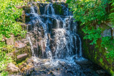 Yazın Rainier Dağı 'nda küçük bir şelale manzarası. Washington eyaletinde yer alıyor..