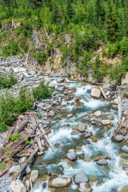 Washington 'daki Rainier Dağı Ulusal Parkı' nda bir buzul nehri manzarası.
