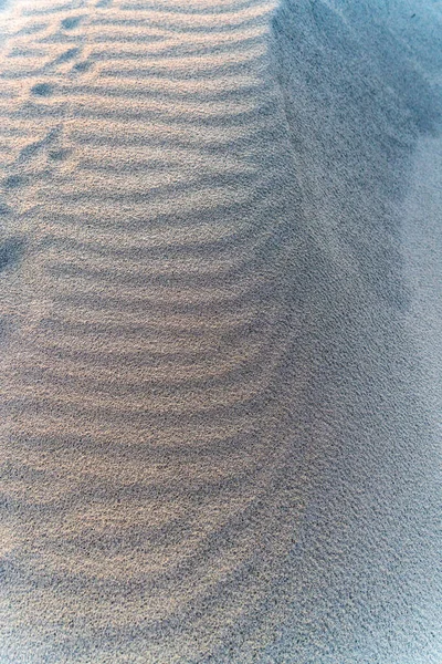 ワシントン州モクリプスで砂を撮影したバックナッツ — ストック写真
