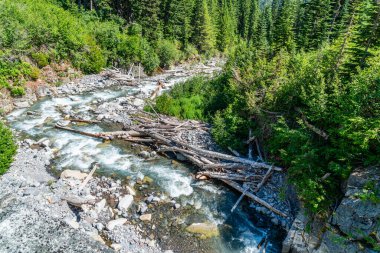 Rainier Dağı Ulusal Parkı 'ndaki bir otoyolun altından bir buzul nehri akıyor..