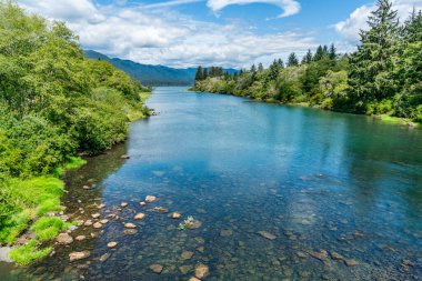 Washington 'da Quinalt Gölü' ne doğru akan Quinalt Nehri manzarası.