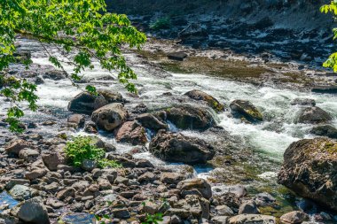 Washington 'daki Snoqualmie Nehri' ndeki beyaz su akıntılarının manzarası.