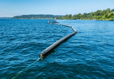 Washington Gölü 'ndeki dubaların Washington' daki Gene Coulon Parkı manzarası.