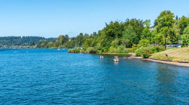 Renton, Washington 'daki Gene Coulon Park' ın kıyı şeridi.