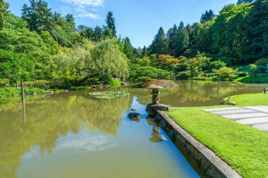 Seattle, Washington 'da bir Japon bahçesindeki bir gölün etrafındaki ağaç..