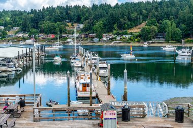 Tekneler Gig Limanı, Washington 'da bir marinada demirli..