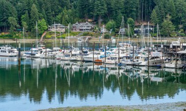 Tekneler Gig Limanı, Washington 'da bir marinada demirli..