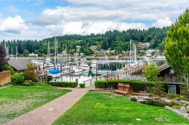 Gig Limanı, Washington 'daki büyük bir liman manzarası.