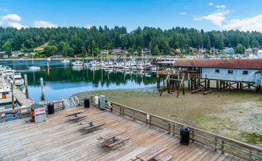 Tekneler Gig Limanı, Washington 'da bir marinada demirli..