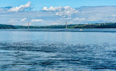 Washington 'daki Fox Adası' ndan Tacoma Narrows Köprüsü manzarası.